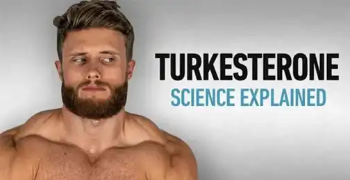 Does Turkesterone Increase Testosterone?